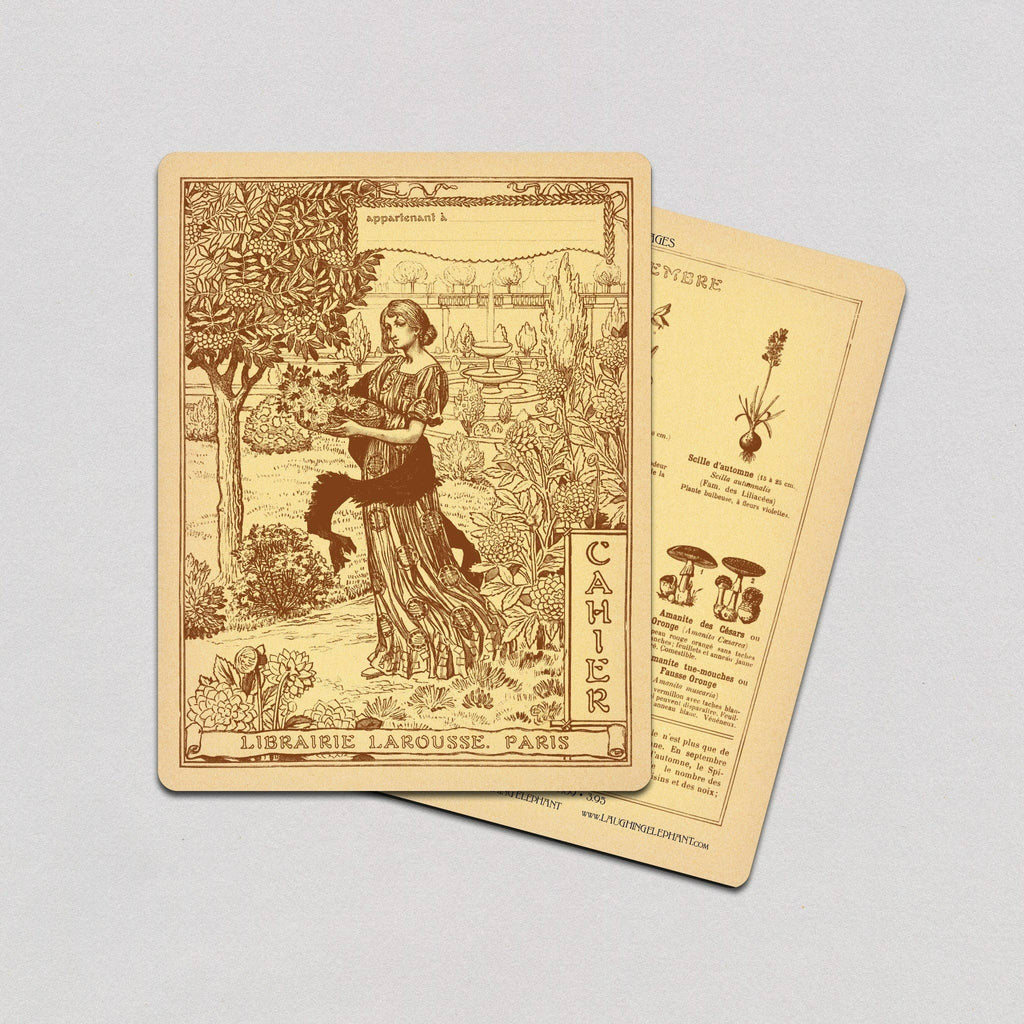 Larousse Books - French Notebook